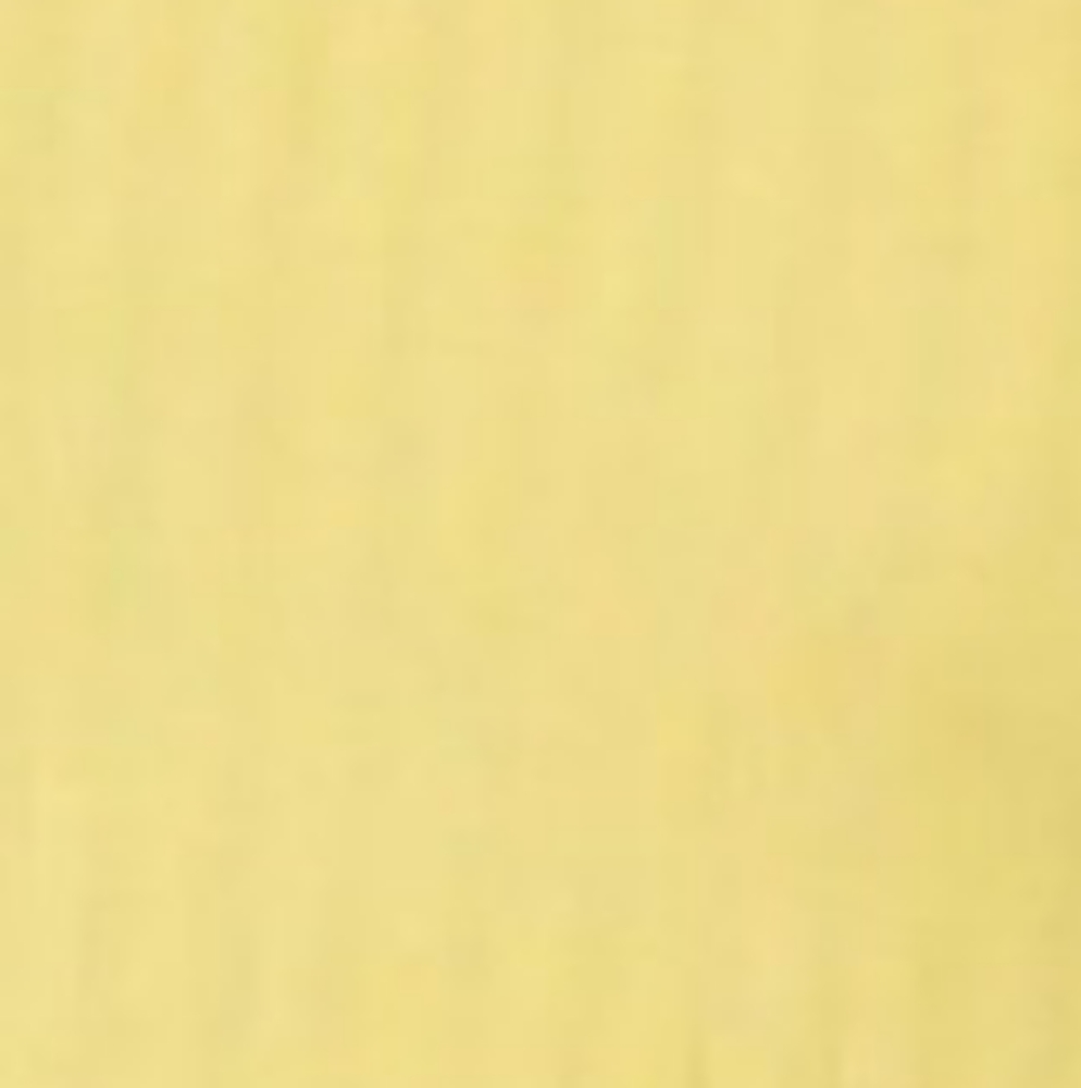 Womens plus sz 2xl Yellow Ribbed Camisole tank top Nwtgs - Picture 3 of 4